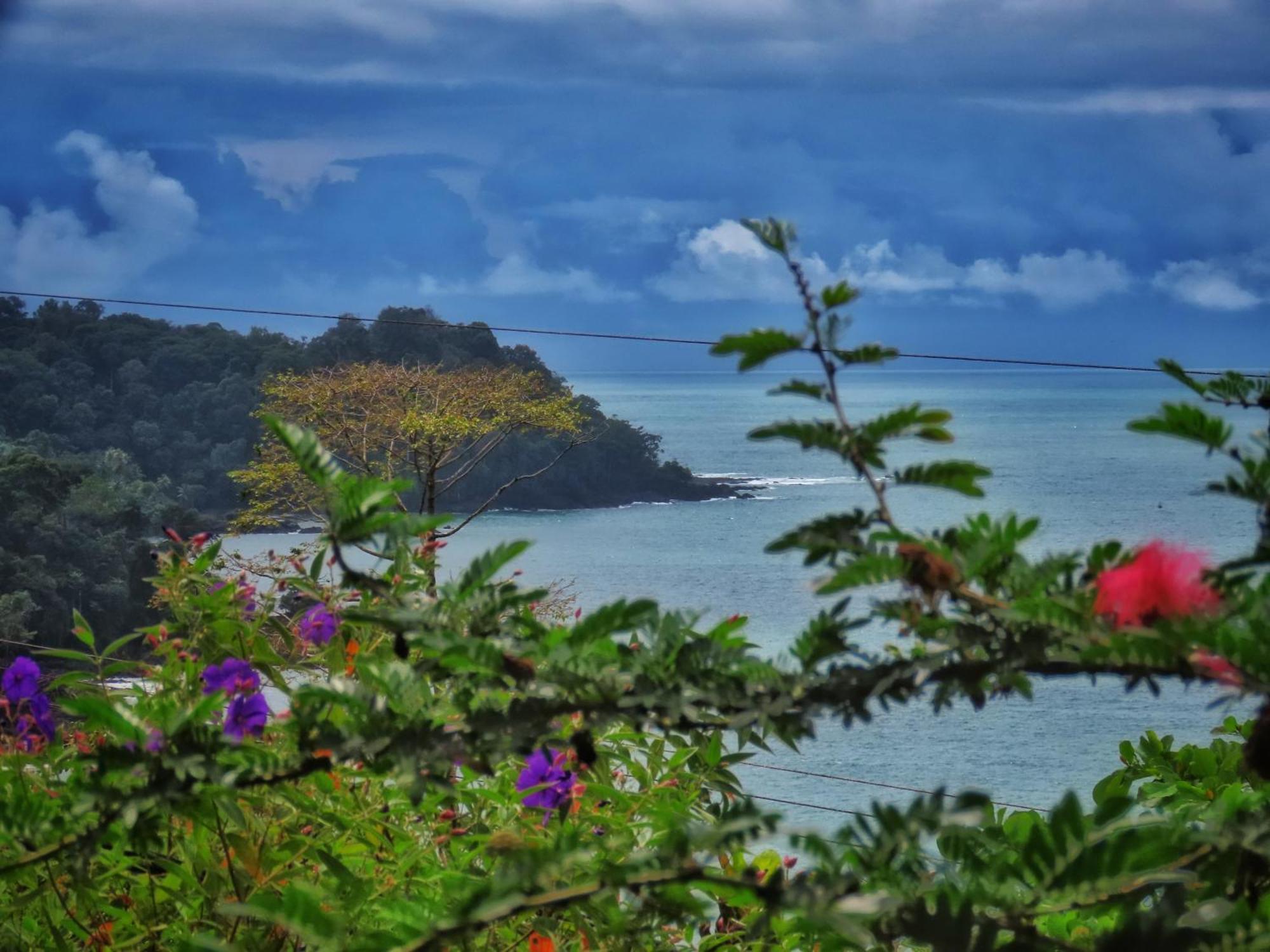 Bella Vista Corcovado Otel Drakes Bay Dış mekan fotoğraf