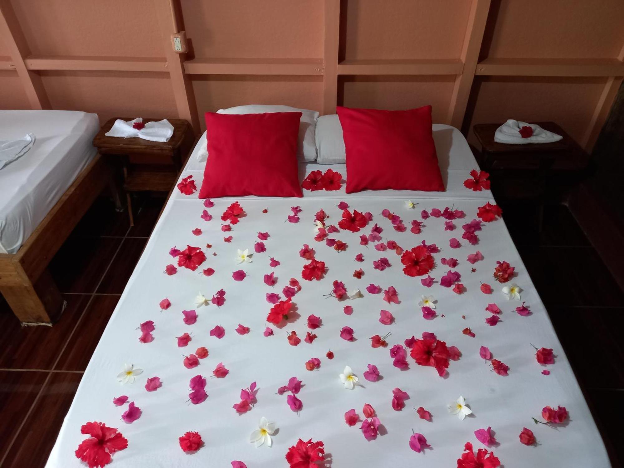 Bella Vista Corcovado Otel Drakes Bay Dış mekan fotoğraf