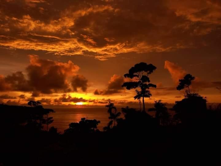 Bella Vista Corcovado Otel Drakes Bay Dış mekan fotoğraf