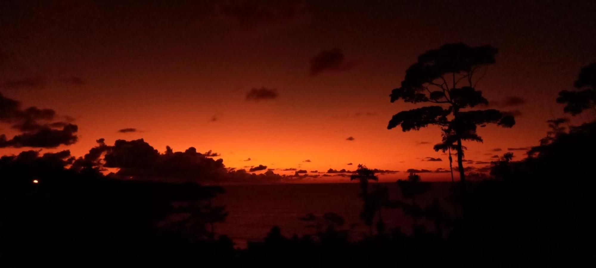 Bella Vista Corcovado Otel Drakes Bay Dış mekan fotoğraf