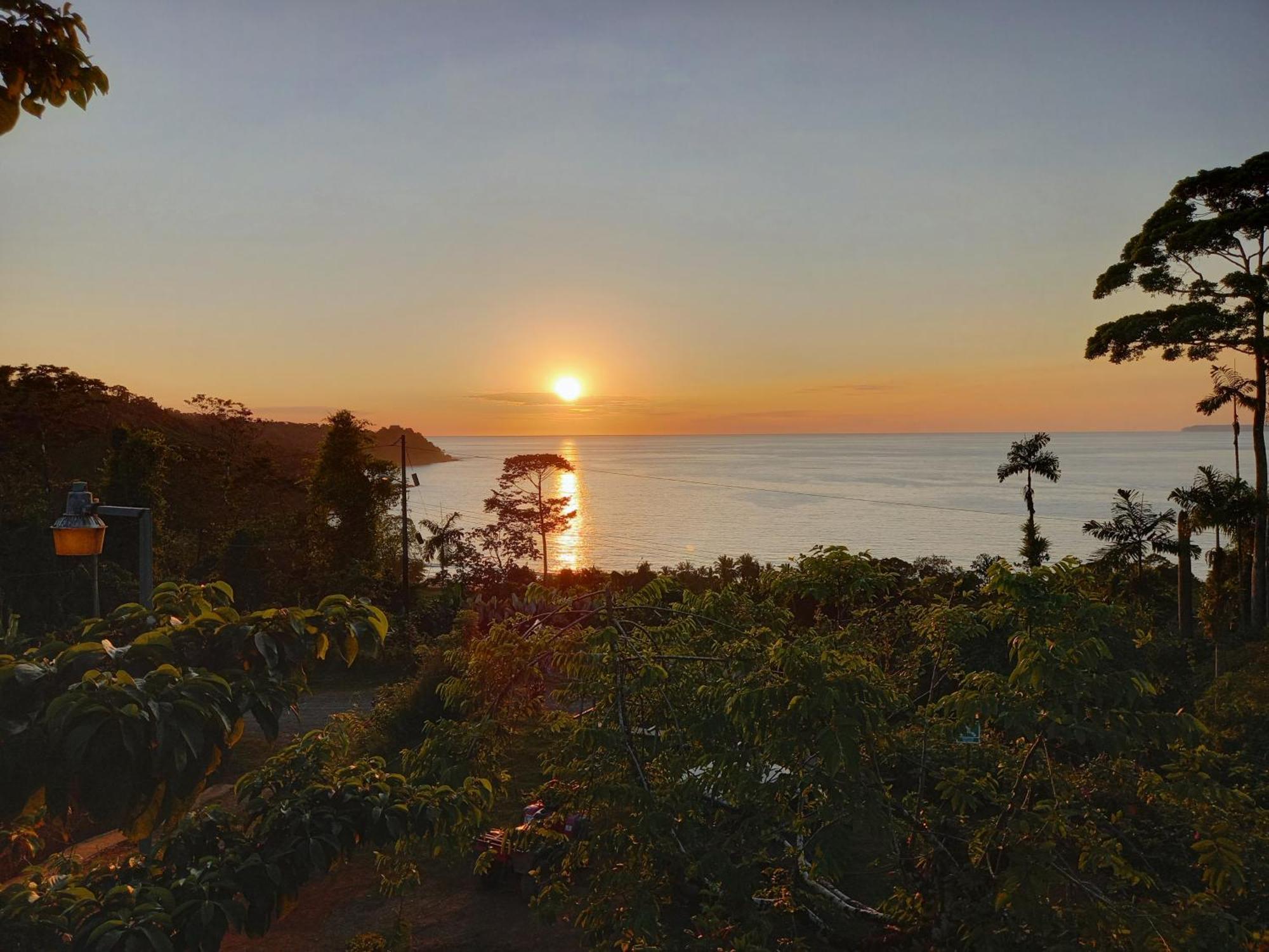 Bella Vista Corcovado Otel Drakes Bay Dış mekan fotoğraf